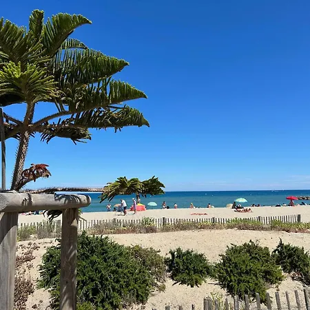 T4 Mezzanine Climatisee Avec Parking, Proche Et Port A Saint-cyprien - Fr-1-793-28 Villa *